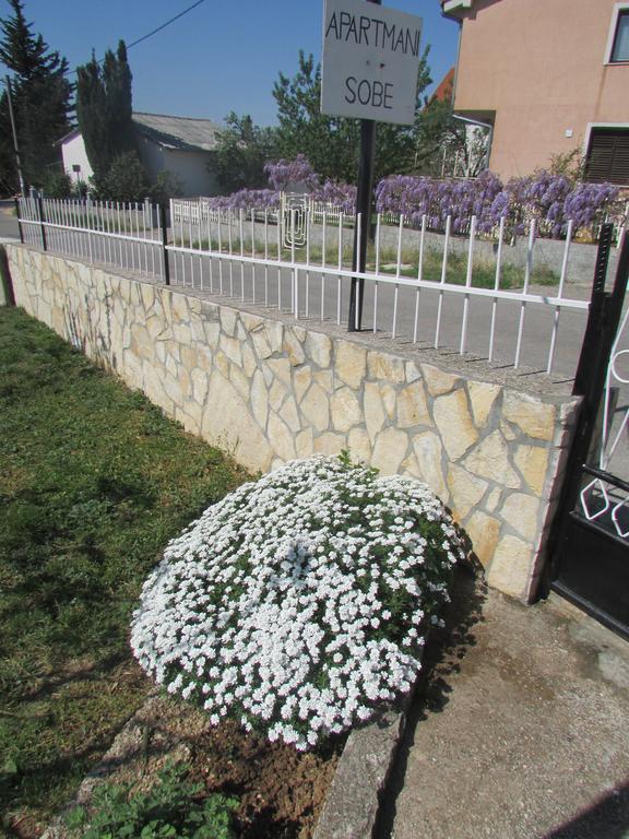 Apartments Jasen Maslenica Dış mekan fotoğraf